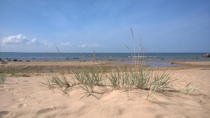 Aablaranna Puhkemaja Exterior foto